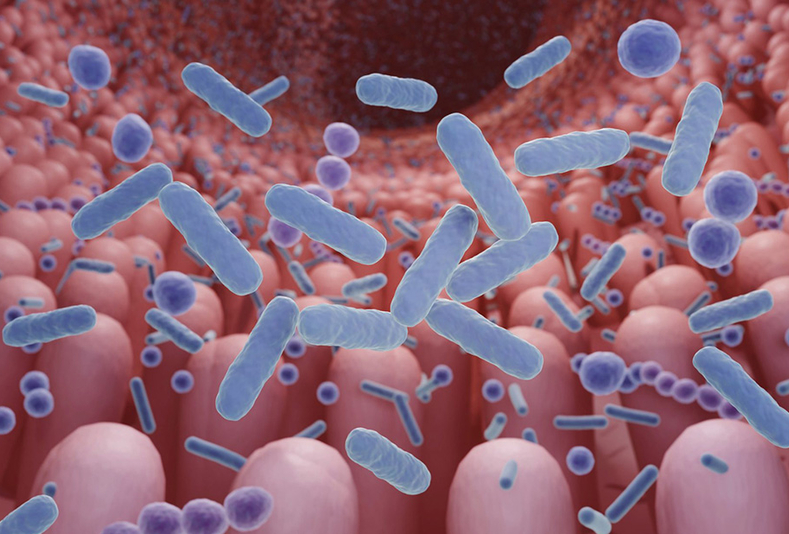 probiotici