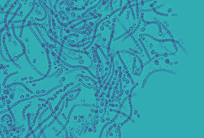 probiotici