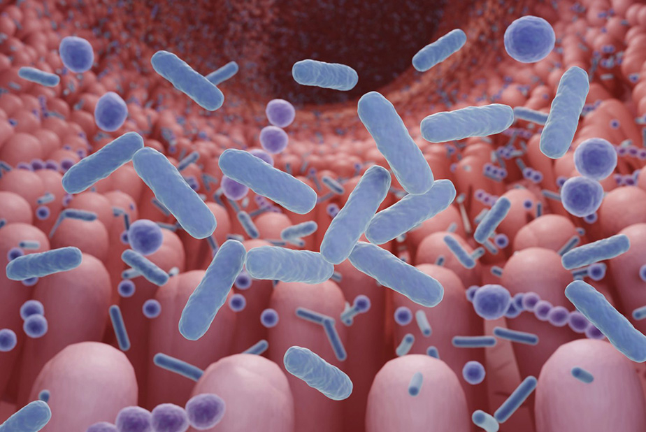 probiotici